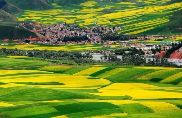 寸止挑战挠痒 挠痒在探讨此类话题时