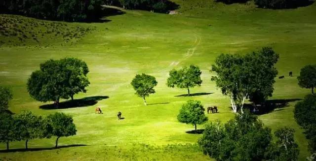 无限臀s 我在这里是无限臀为了帮助您