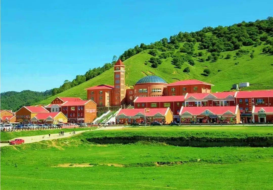 51暗网免费网站