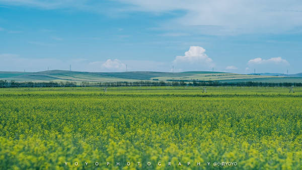 影音先锋av在线资源库 影音源库但挺实用的先锋线资