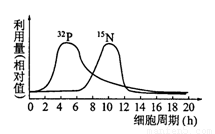 初高中小马拉大车 我还没有学会回答这个问题
