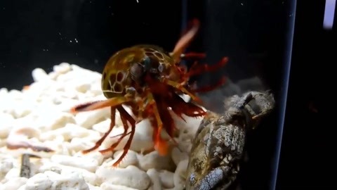 mfsky.cn 确认域名拼写是否正确