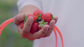 小马拉大车合集2