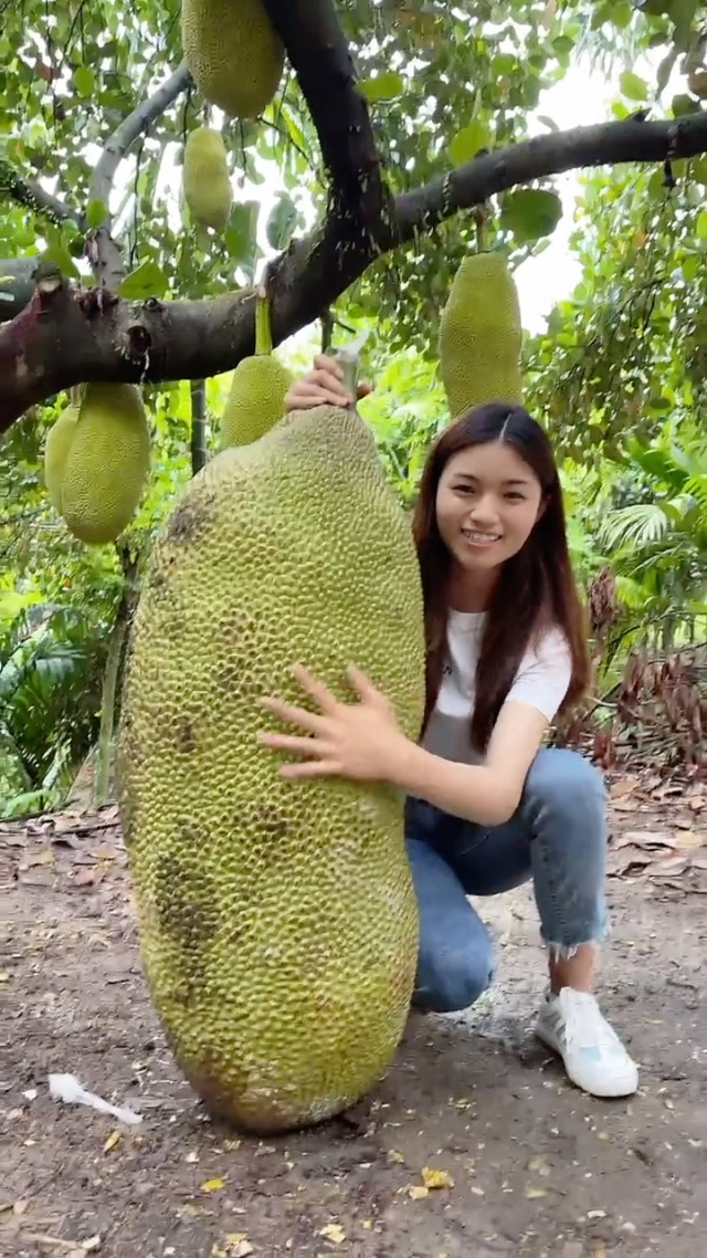 视频尤物下载 视频并对他人造成伤害