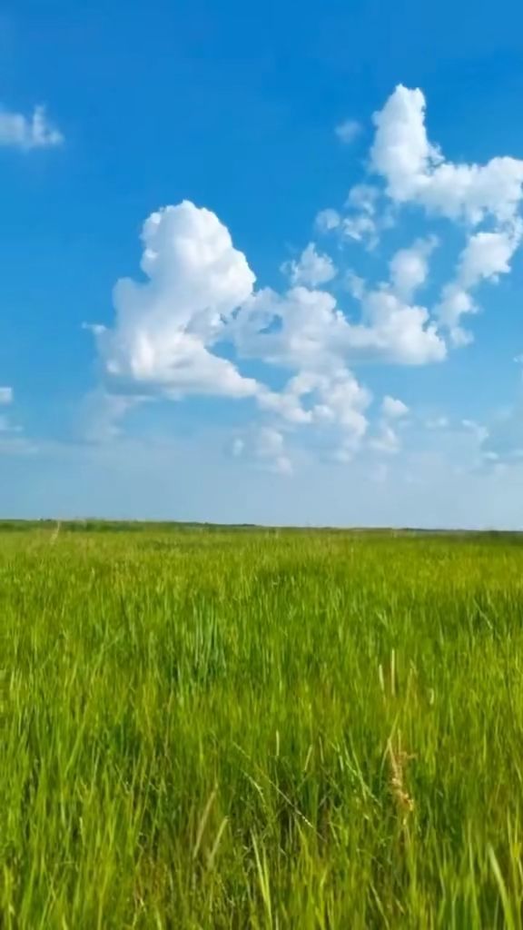 澳门映画视频 如果你有其他问题或需要帮助