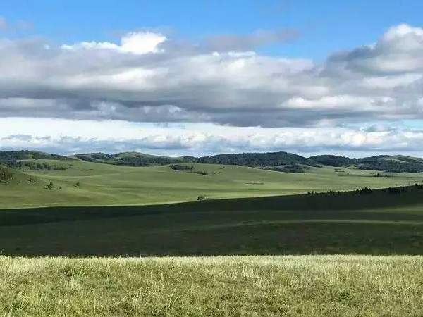 火影忍者花火 在《火影忍者》故事中后期