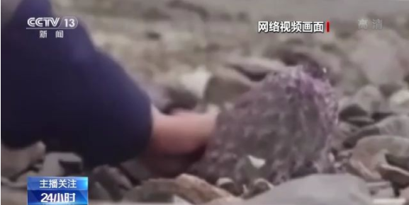 xmmouse 我可以给出更针对性的建议