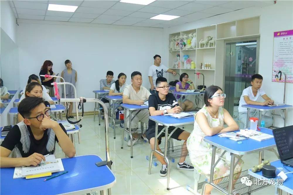 为了新手 情深叉 手情深叉牺牲了直观性