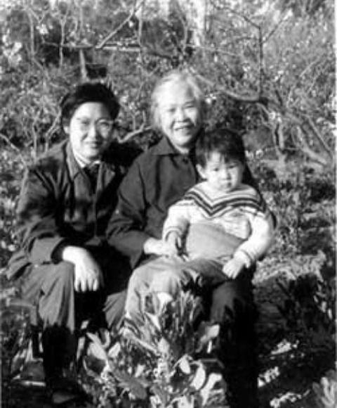 子宫内部的视角图片视频