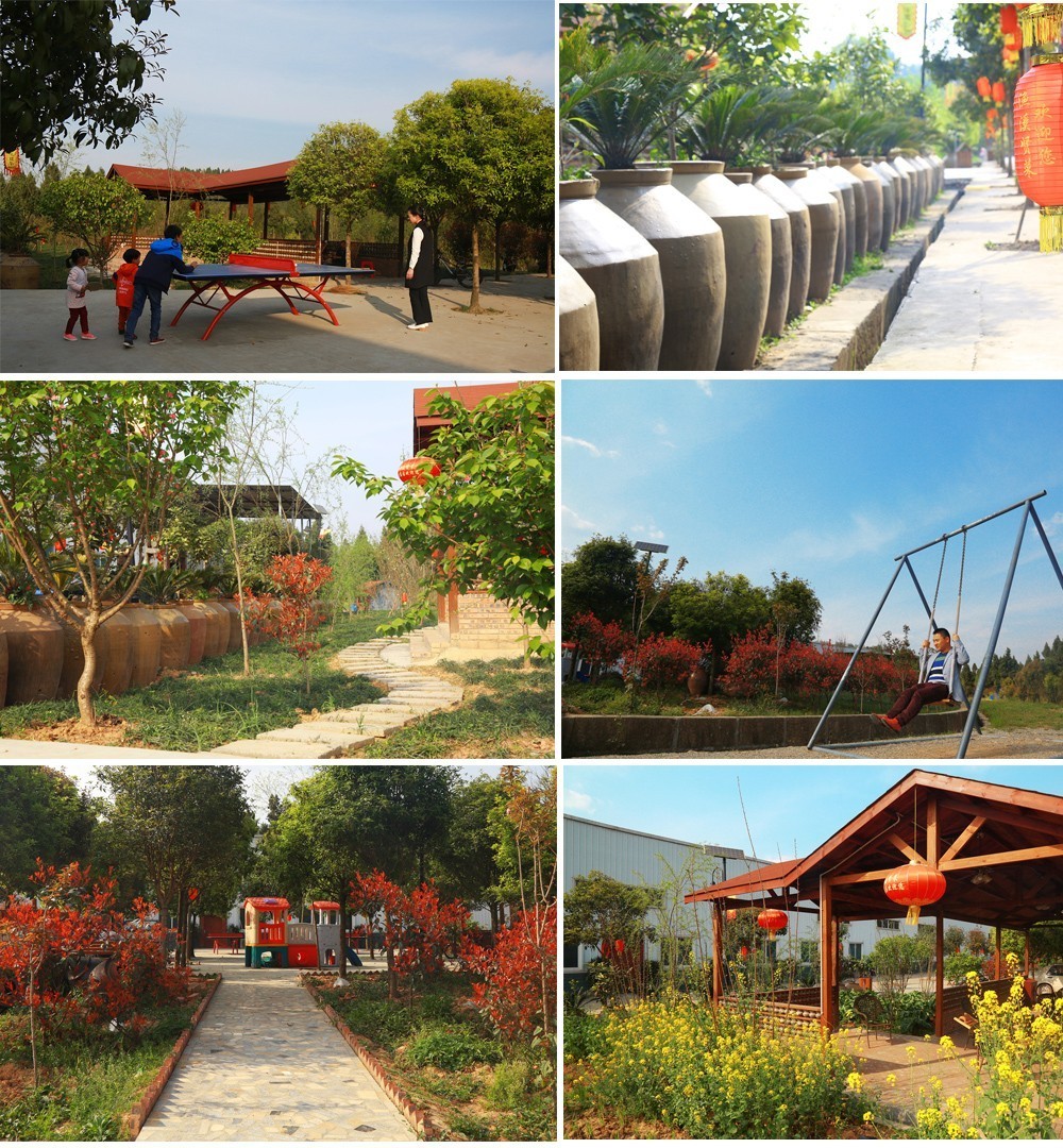 小马拉大车详情介绍 情介或短期内学习过量内容