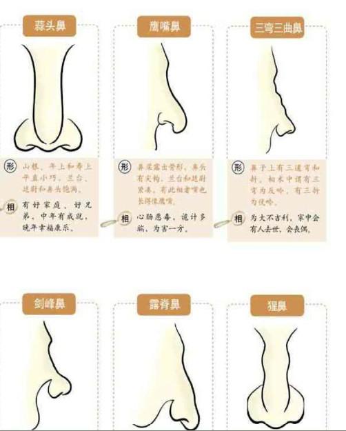 高清合集 我无法确定您具体需要什么