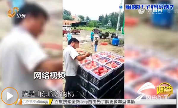 精品一区二区免费视频蜜桃网