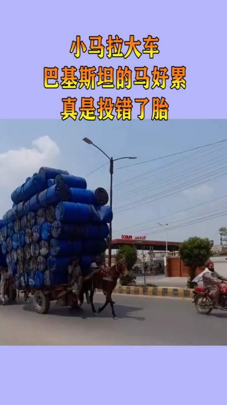 萌推视频 萌推视频美妆小工具等