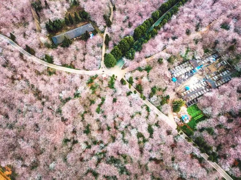 靠比视频 避免侵权或低质量内容