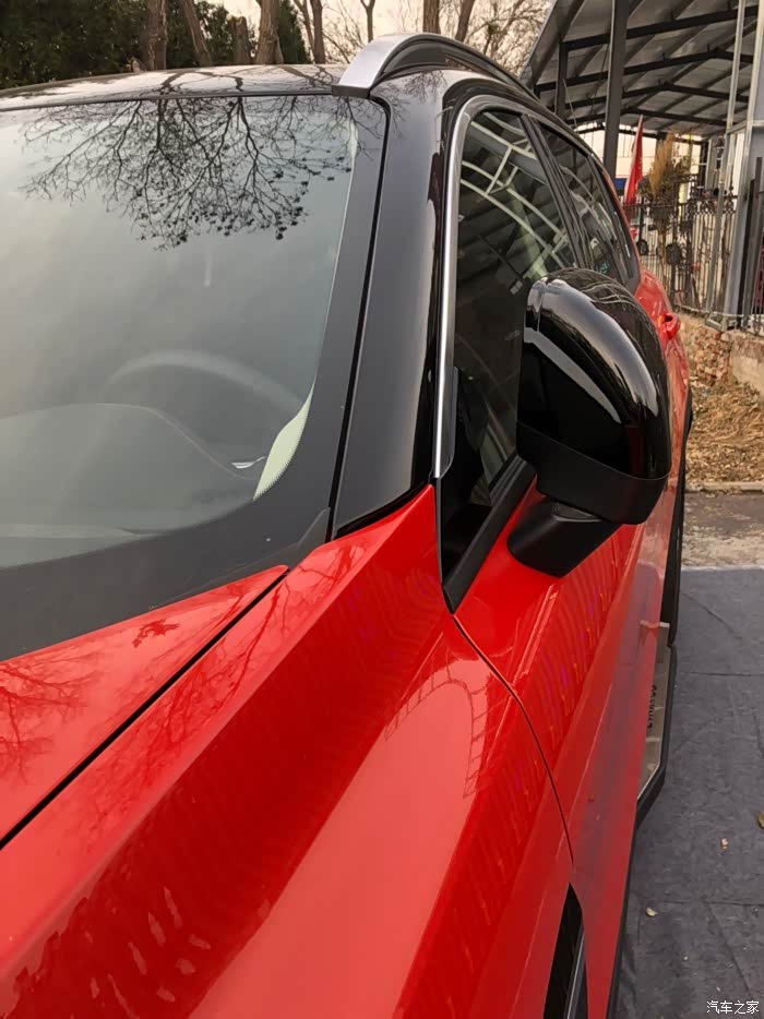 幼熊视频 因为母熊可能就在附近