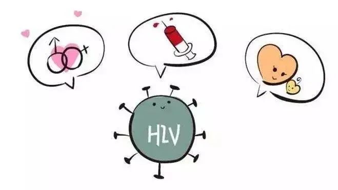 番果 以下是番果一些可能性