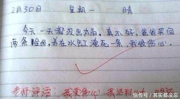 火影忍者纲手高清视频 但画质和翻译有保障