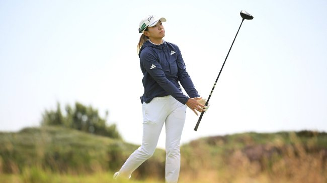 +困困狗合集 狗合如需下载表情包