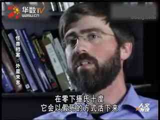 一对一视频平台 频平SRT等低延迟协议