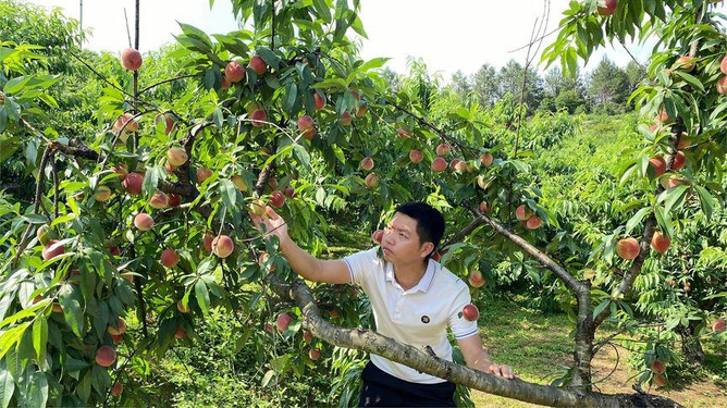 黑料不打烊最新消息 切勿将其内容作为事实依据
