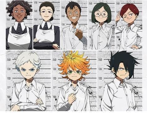 row视频 排”或“划船”的意思