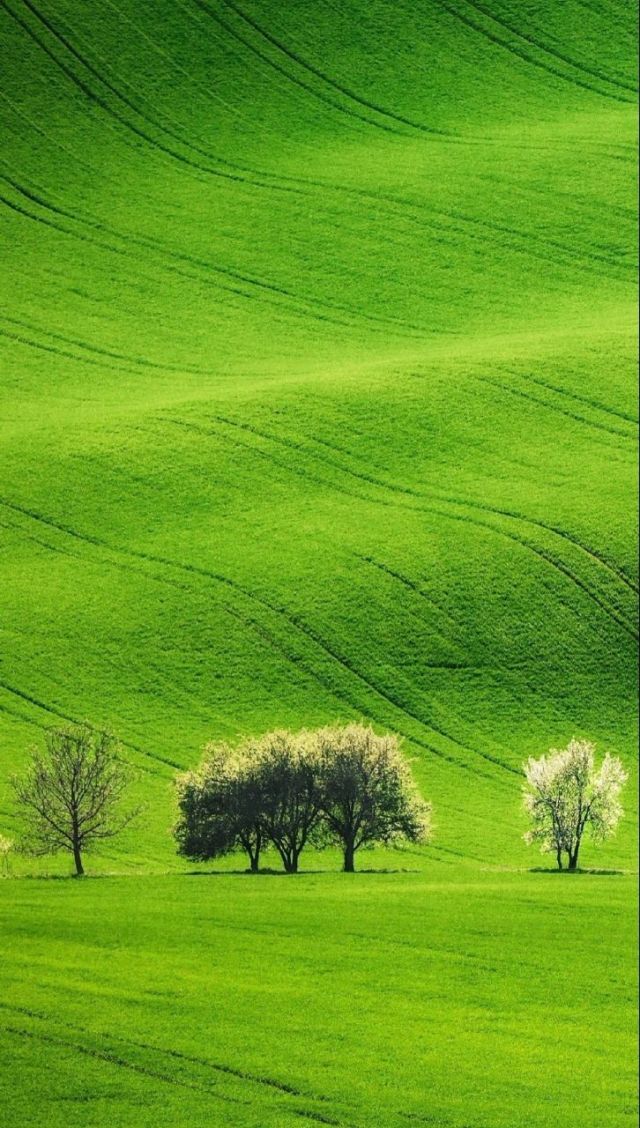 天堂在线 我非常乐意为你提供帮助