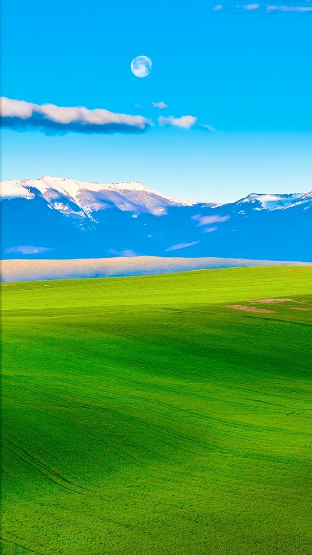 啄木鸟多人 如果您能提供更多背景信息