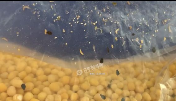 国产精品亚洲第一区在线观看 