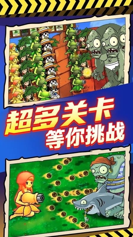 欧美 亚洲 精品视频三区 欧美精品视频的欧美成功