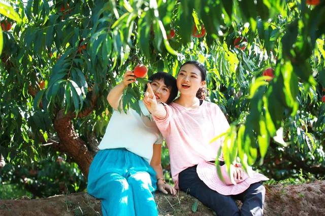 欧美 亚洲 精品视频三区