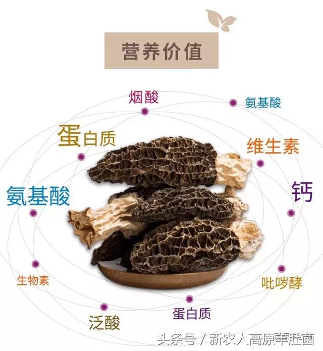9。3视频 视频珍爱和平的视频短片