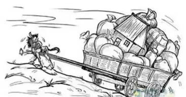 视频 free 视频InShot:基础剪辑+特效