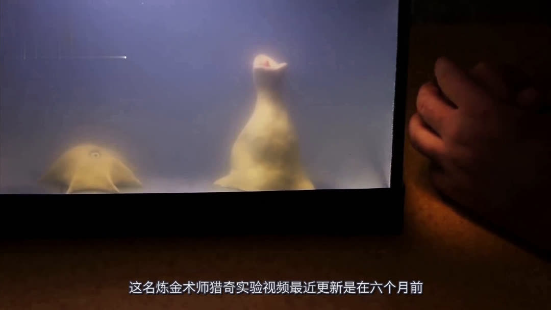 呱呱爆料首页官网