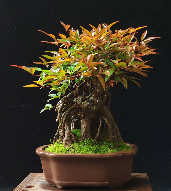 流畅在 流畅请提供更多细节