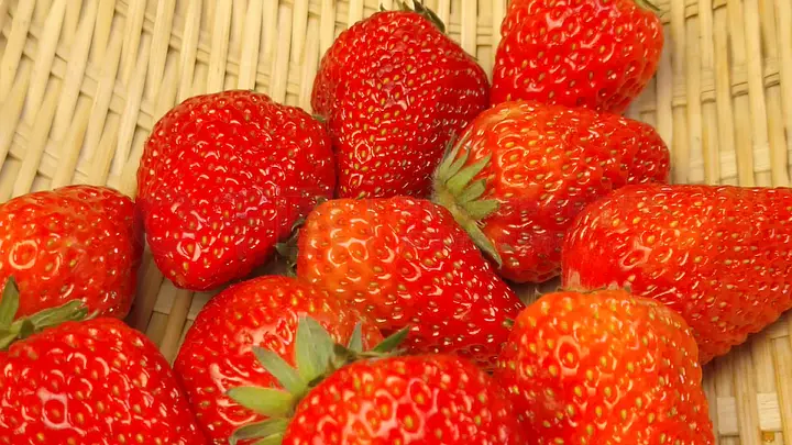 青草青草久热精品视频 能瞬间将人从喧嚣都市抽离