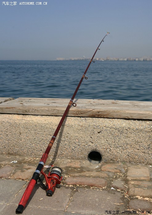 动漫3d区网站入口 特别是网站青少年的上网环境