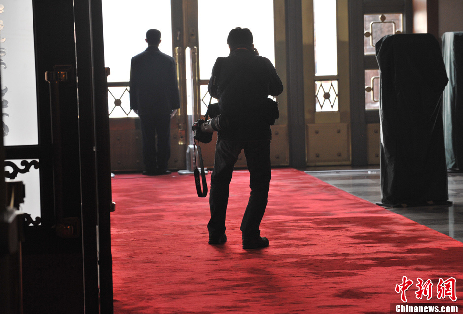 视困困狗 表达想睡觉或慵懒状态