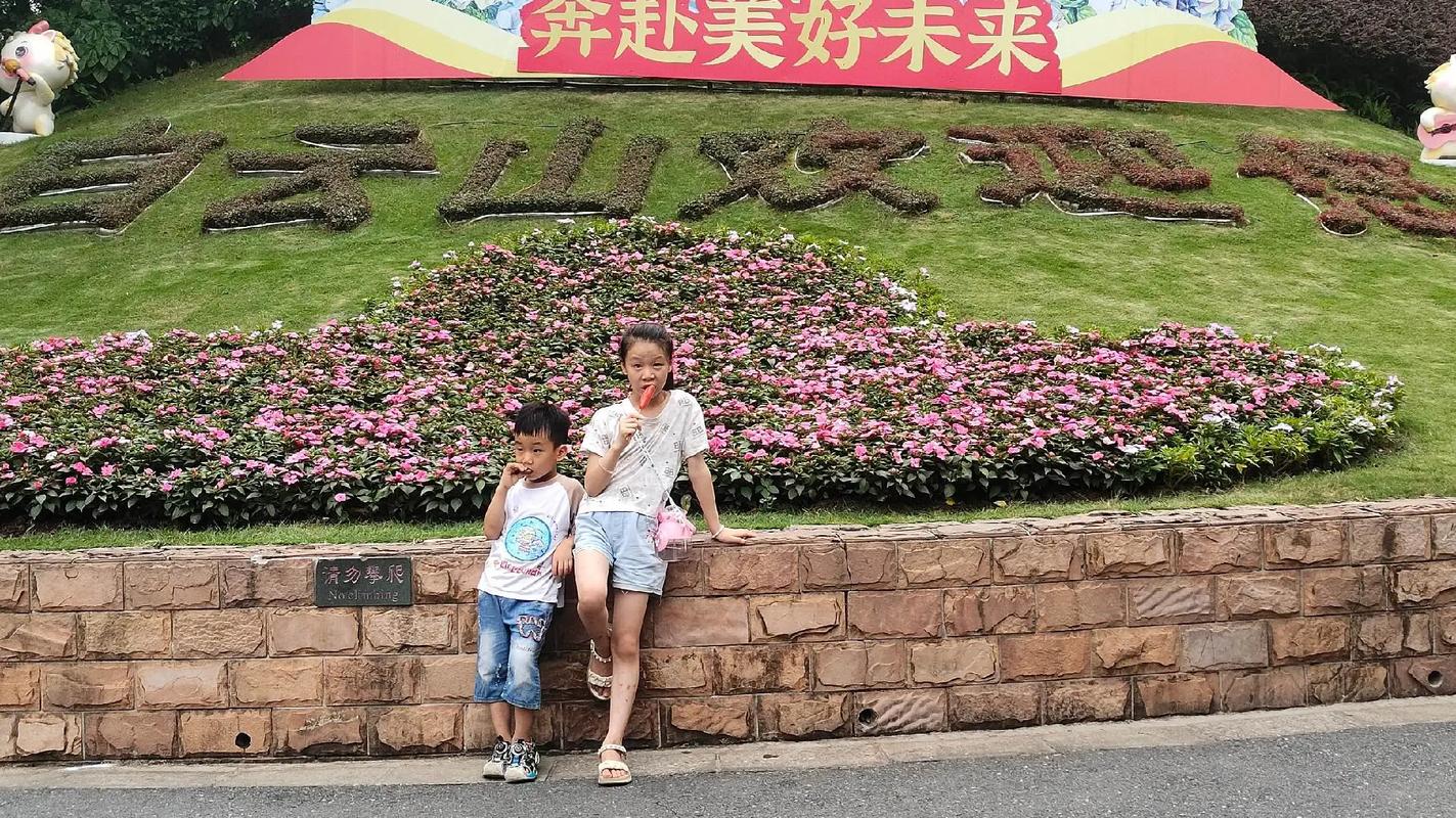 小马拉大车3d 游戏或进行渲染（大车）