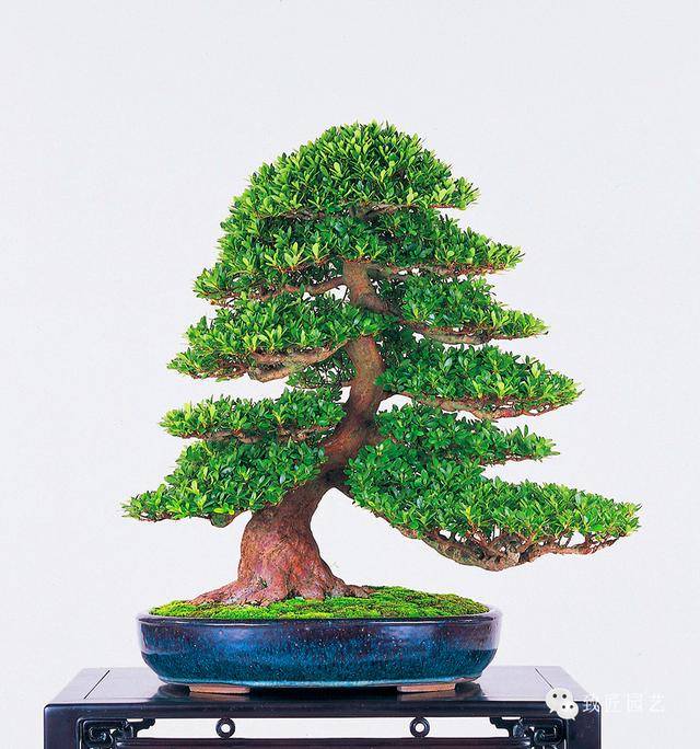 情人节热点 确保内容对用户有用