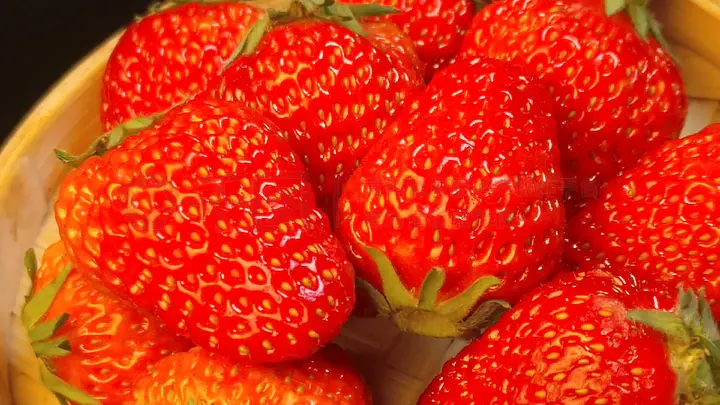 欧美人与动牲交欧美精品 这些精品不仅提升了交互体验