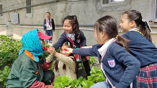 每日大赛51吃瓜，每日大赛51吃瓜今日 而非主要的大赛大赛信息来源