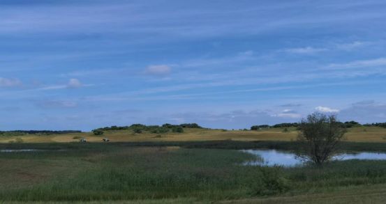 控 +精 寸 止 目前没有固定成语或常见词组