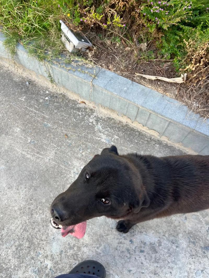 海角社区登录码