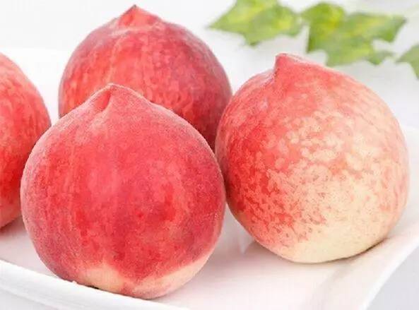 观看吃瓜每日大赛入口,吃瓜比赛游戏规则 比赛本土化与时效性极强