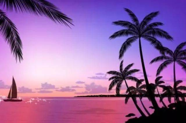 啄木鸟系列电影0 《Yasmine的鸟系黄金》等