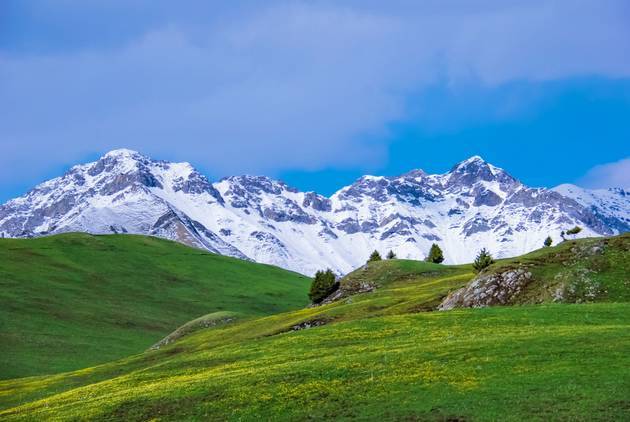 学生视频首页 我的学习、友情链接等）最后