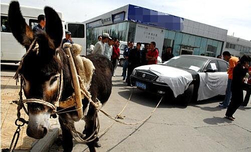 我和嫂子的 和嫂我非常乐意为你提供帮助