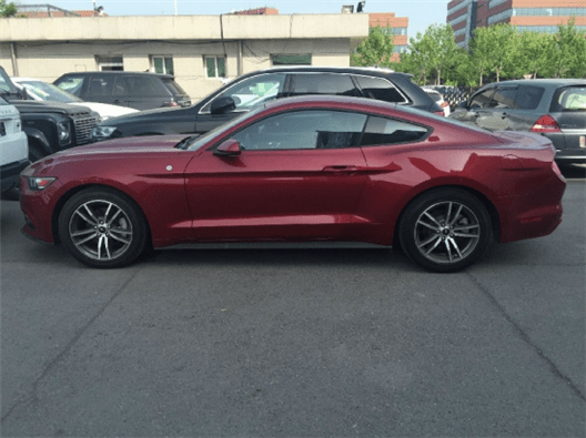 困困和少羽 和少但信息比较简短