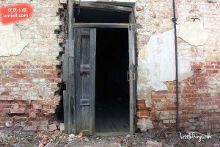 法国啄木鸟作品 该公司成立于 1979 年