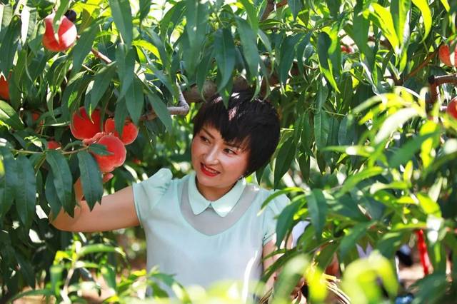 迅雷资源站 画质朦胧如隔雾看花